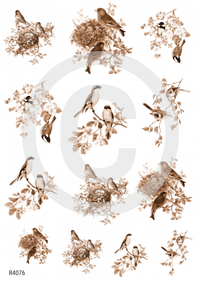 RP Naše spevavčeky v hnedo-bronzových tónoch