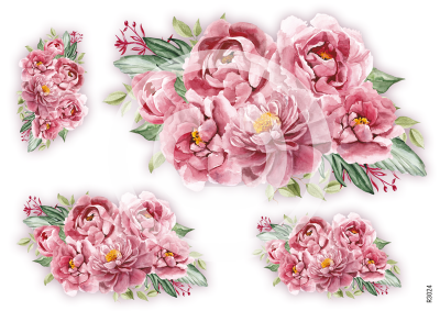 RP Ružové pivonky - rôzne kompozície na bielom pozadí