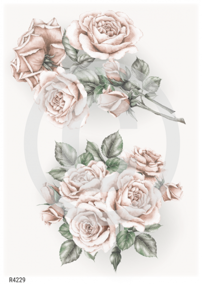 RP Shabby chic beige - 2 kytice ruží