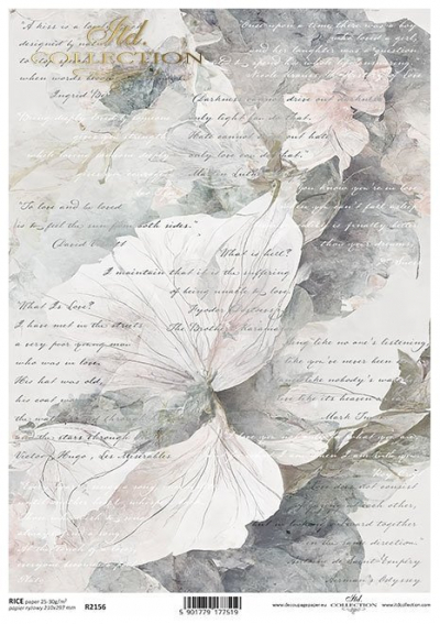 RP Pozadie sivasté s veľkými kvetmi a rukopisom