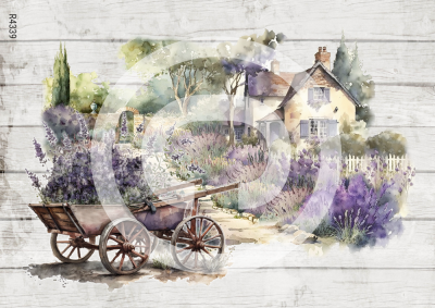 RP Francúzska levanduľa - domček a vozík
