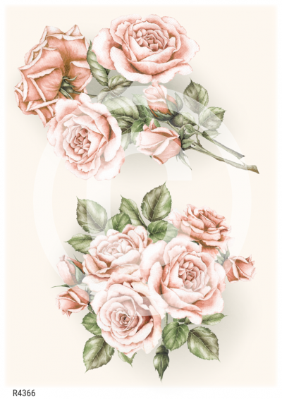 RP Shabby chic peach - 2 kytice ruží