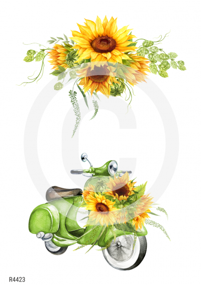 RP Žiarivé slnečnice - kvety a moped
