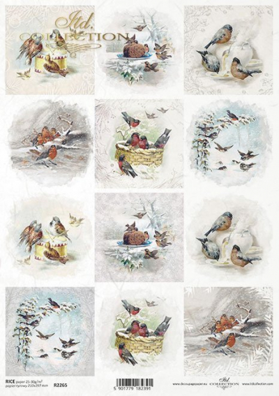 RP Vtáčiky v zime