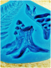 Silikónová forma Papraď-pník-huby
