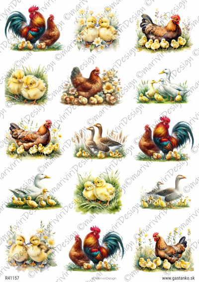 RP Jarné mláďatká - operené rodinky