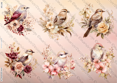 RP Vtáčiky - 6x medzi kvetmi