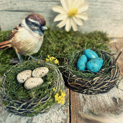 Silikónová forma Vtáčie hniezda