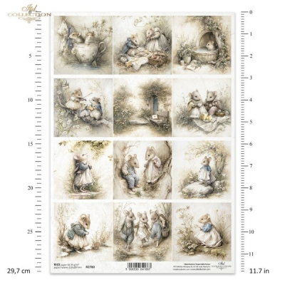 RP Myšací svet - v prírode