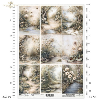 RP Myšací svet - 9 obrázkov lesné chodníčky