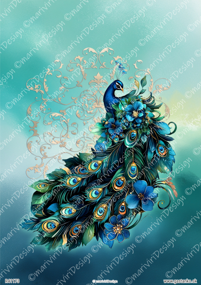 RP Pávy - majestátny páv