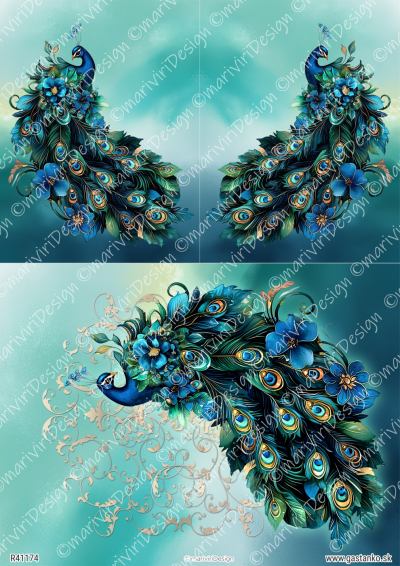 RP Pávy - tri majestátne pávy