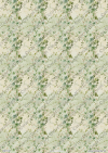 RP Zelená kolekcia - vzor s drobným brečtanom