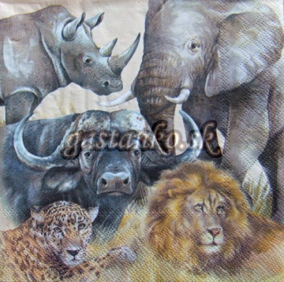 Africké zvieratá