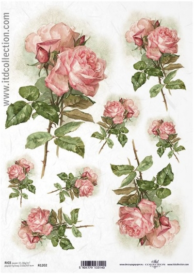 Ružové ružičky